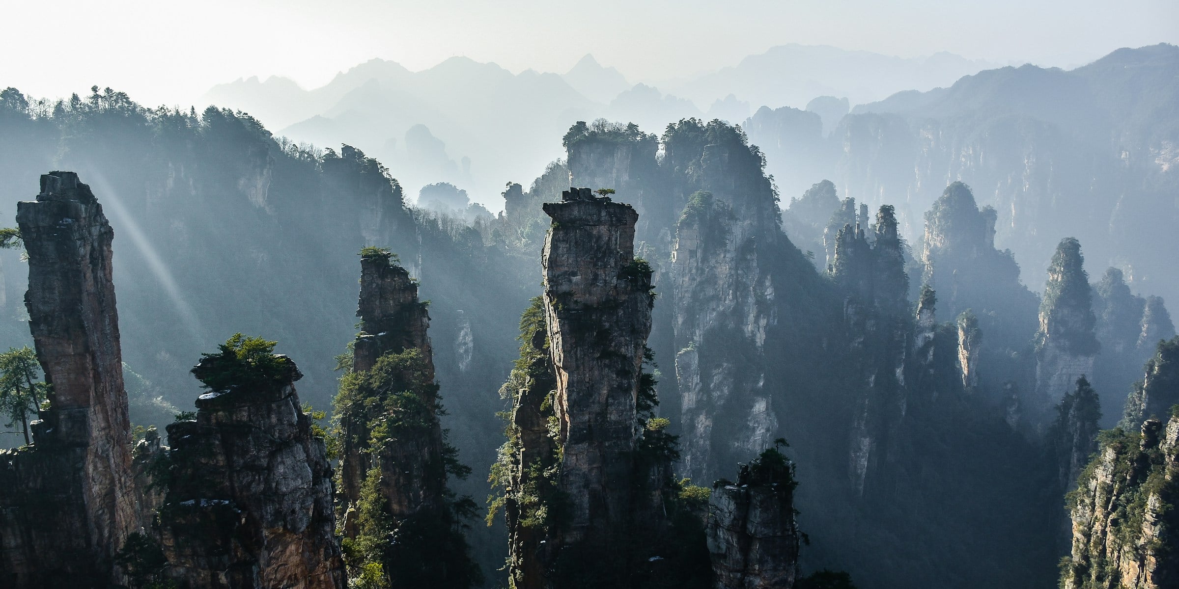 Paredões rochosos cobertos de vegetação em Zhangjiajie